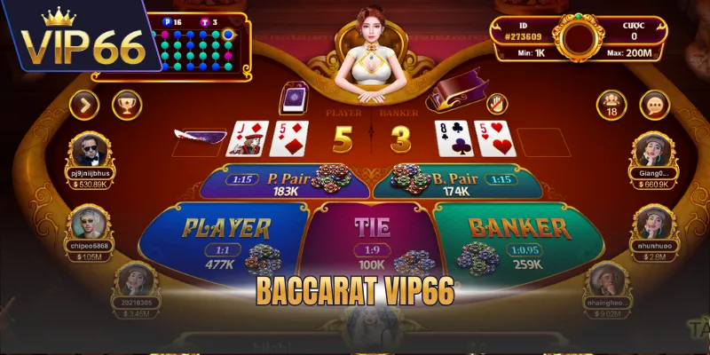 Baccarat VIP66