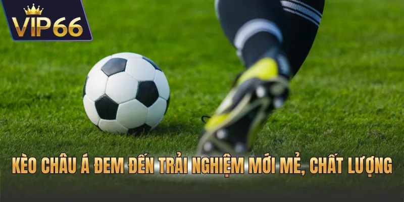 Kèo châu Á đem đến trải nghiệm mới mẻ, chất lượng