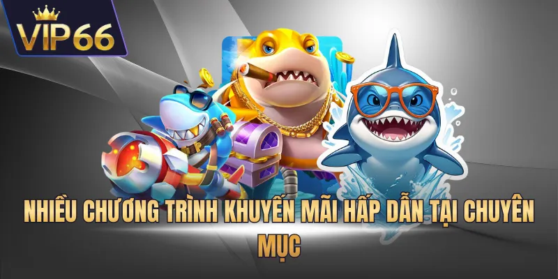 Nhiều chương trình khuyến mãi hấp dẫn tại chuyên mục