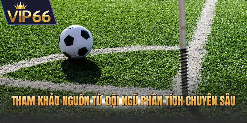 Tham khảo nguồn từ đội ngũ phân tích chuyên sâu
